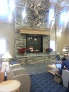 The fireplace at the South Bowie library. Cozy.